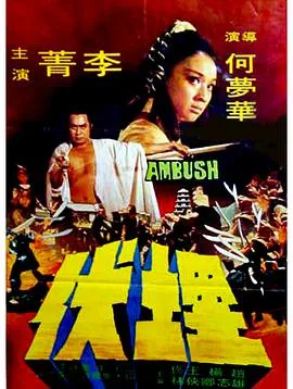 埋伏1973海报