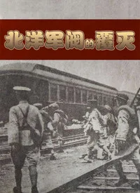 北洋军阀的覆灭海报