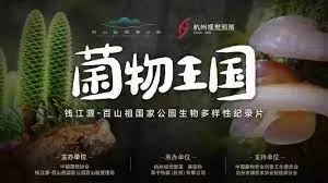菌物王国海报