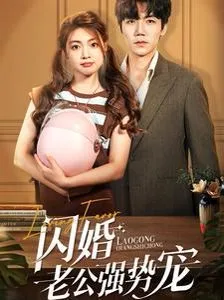 闪婚老公强势宠海报