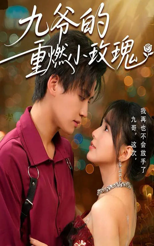 九爷的重燃小玫瑰海报