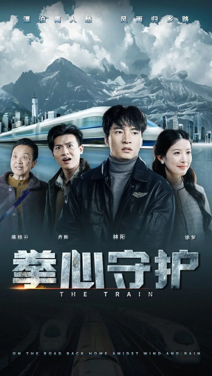 拳心守护海报
