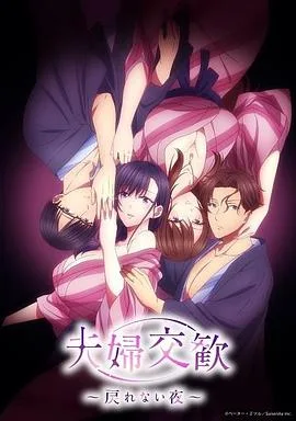 夫妇联欢~回不去的夜晚海报