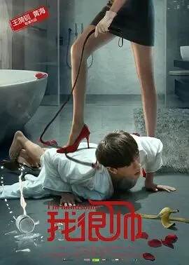 我很帅海报
