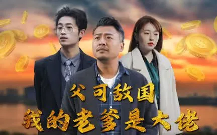父可敌国我的老爹是大佬海报