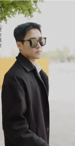 我成了失忆霸总的心尖宠海报