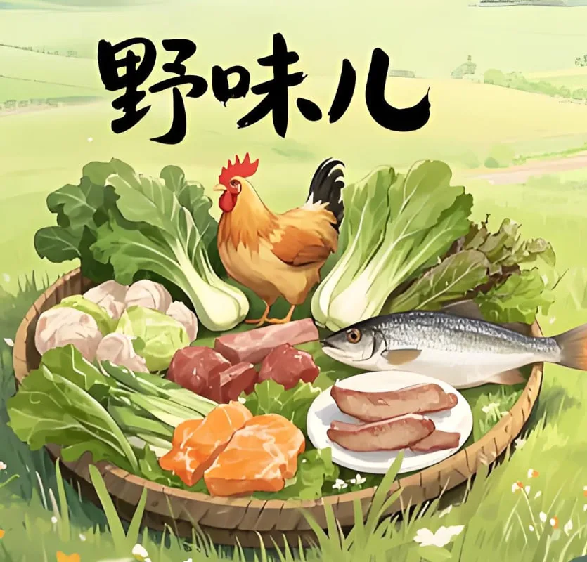 野味儿海报