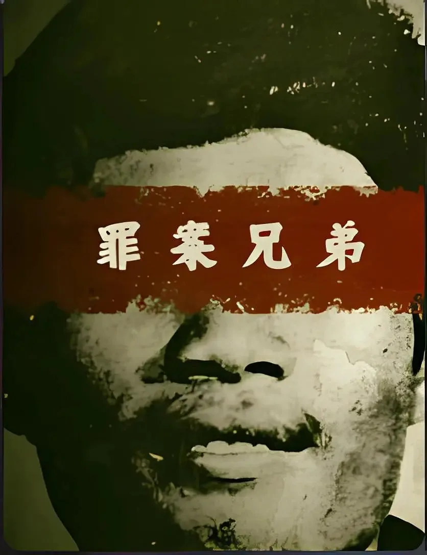 罪案兄弟海报