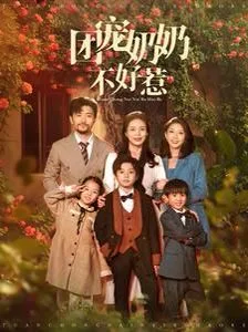 团宠奶奶不好惹海报