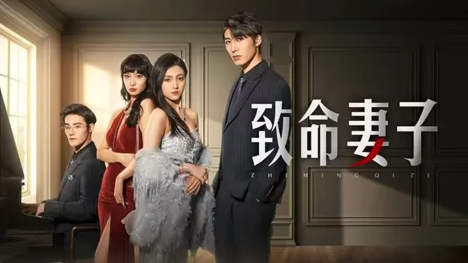 致命妻子海报