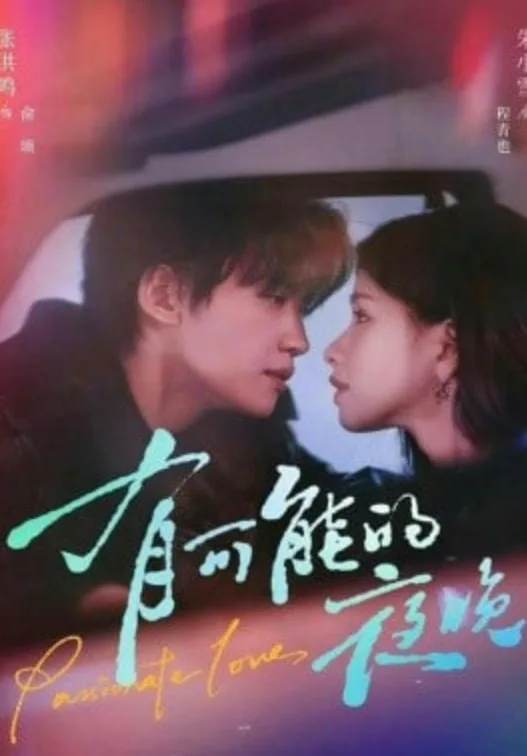 有可能的夜晚海报