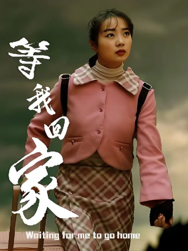 等我回家海报