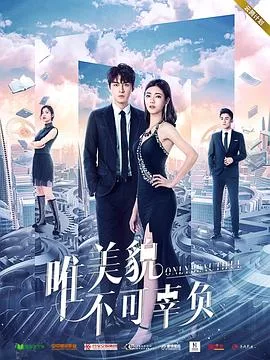 唯美貌不可辜负 第一季海报