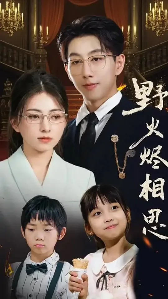 野火烬相思海报