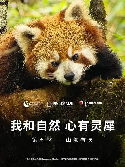 我和自然 心有灵犀 第五季海报