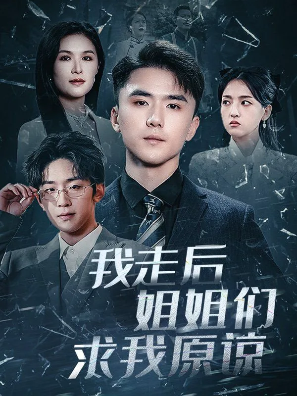 我走后姐姐们求我原谅海报
