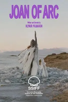 箭下的约翰娜海报