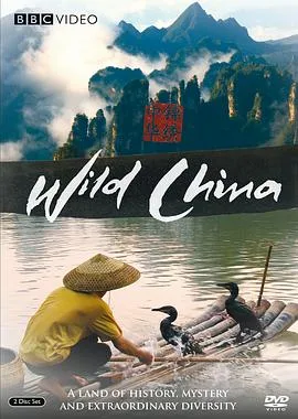 美丽中国海报