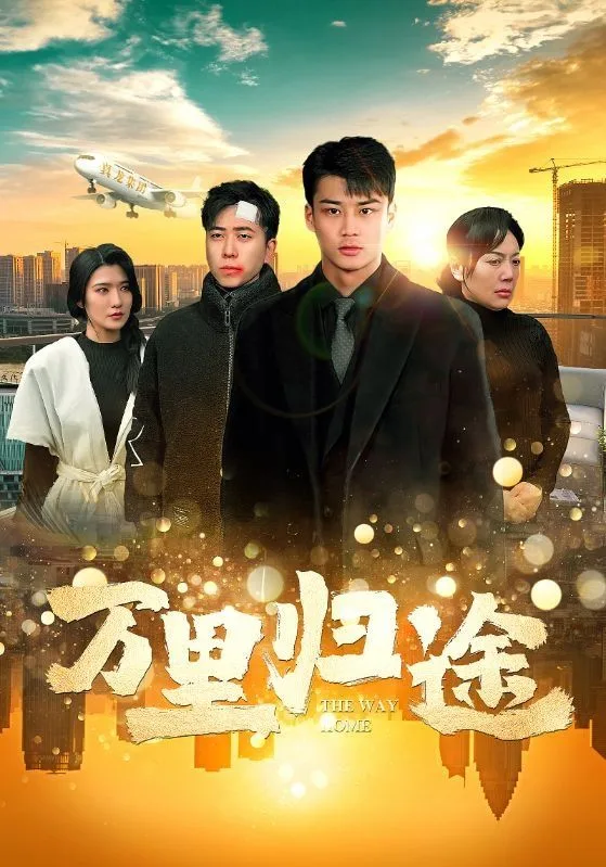 万里归途海报