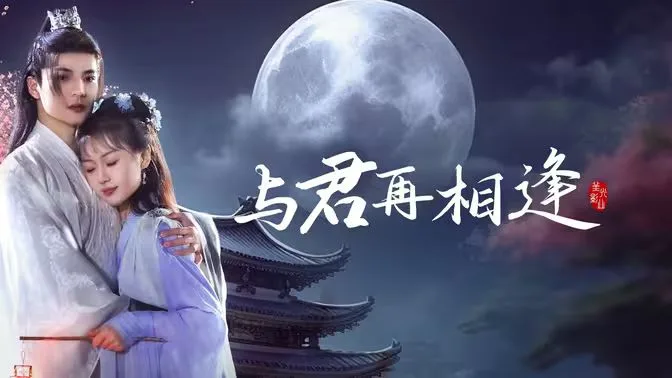 与君再相逢海报