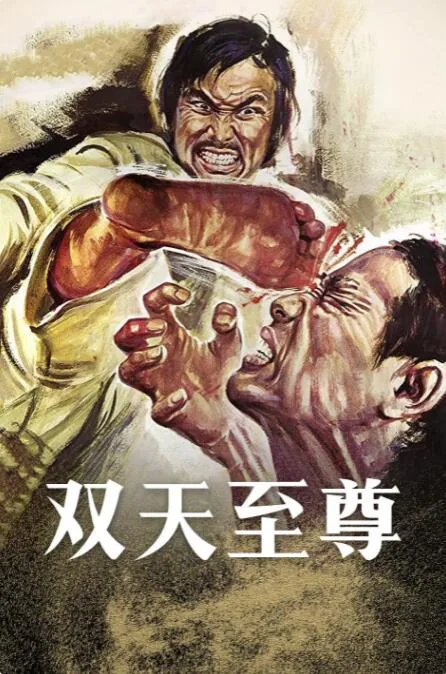 双天至尊海报