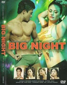 激夜海报