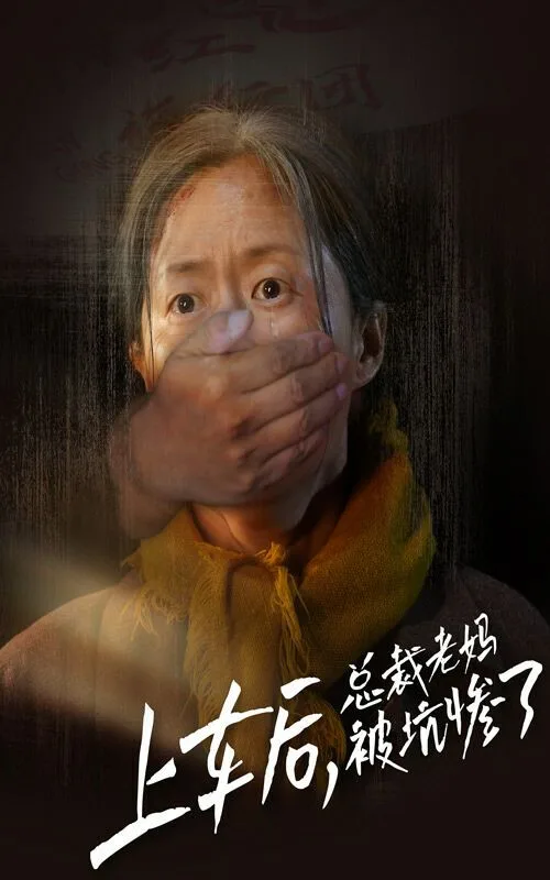 上车后，总裁老妈被坑惨了海报