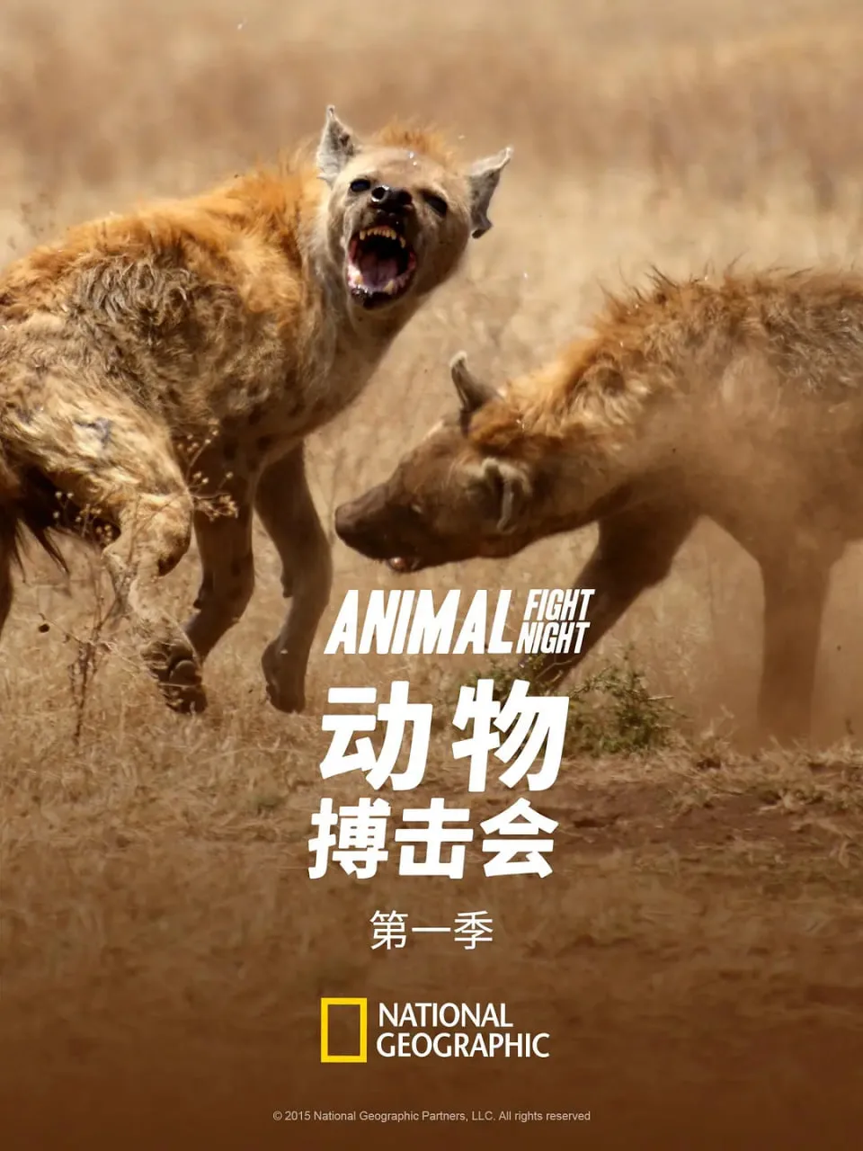 动物搏击会 第一季海报