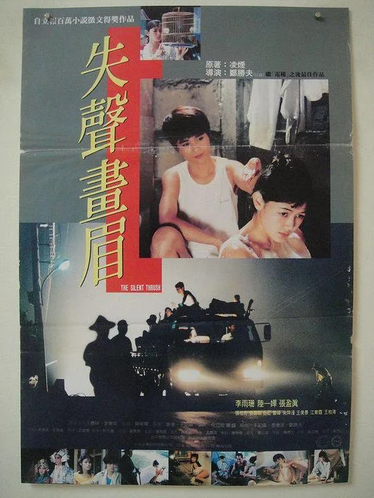 失声画眉海报