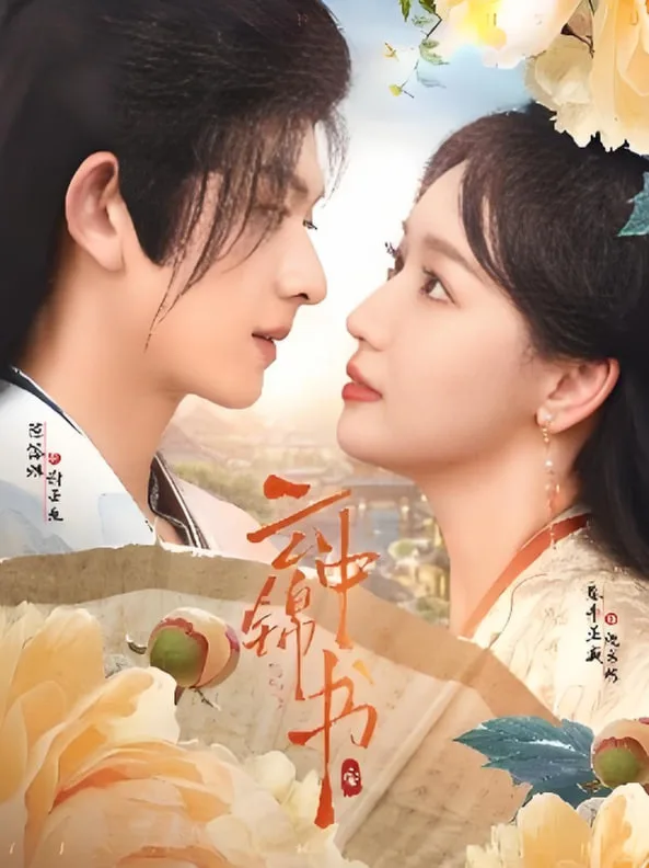 云中锦书海报