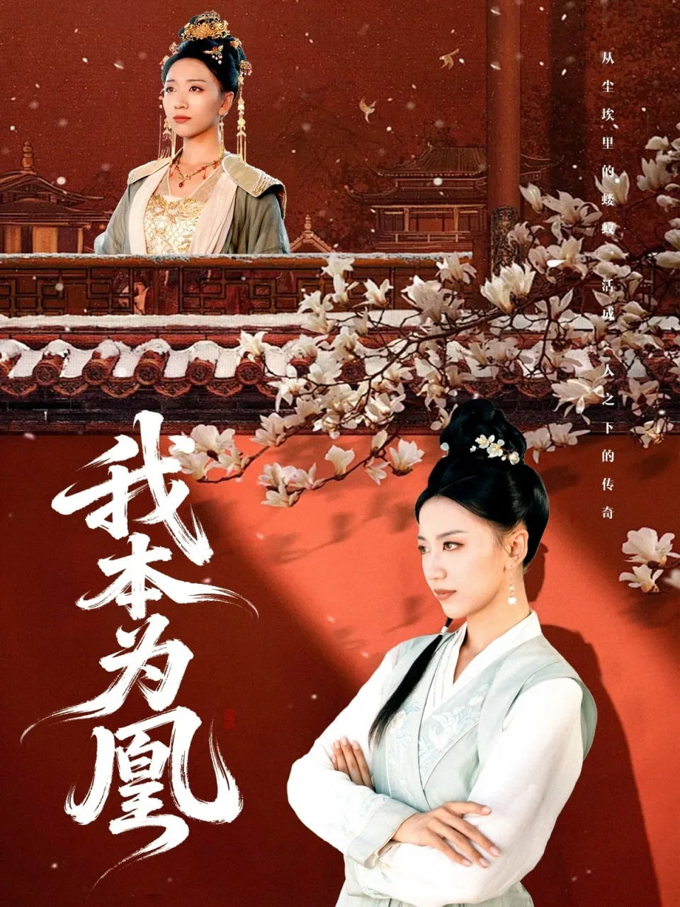 我本为凰海报