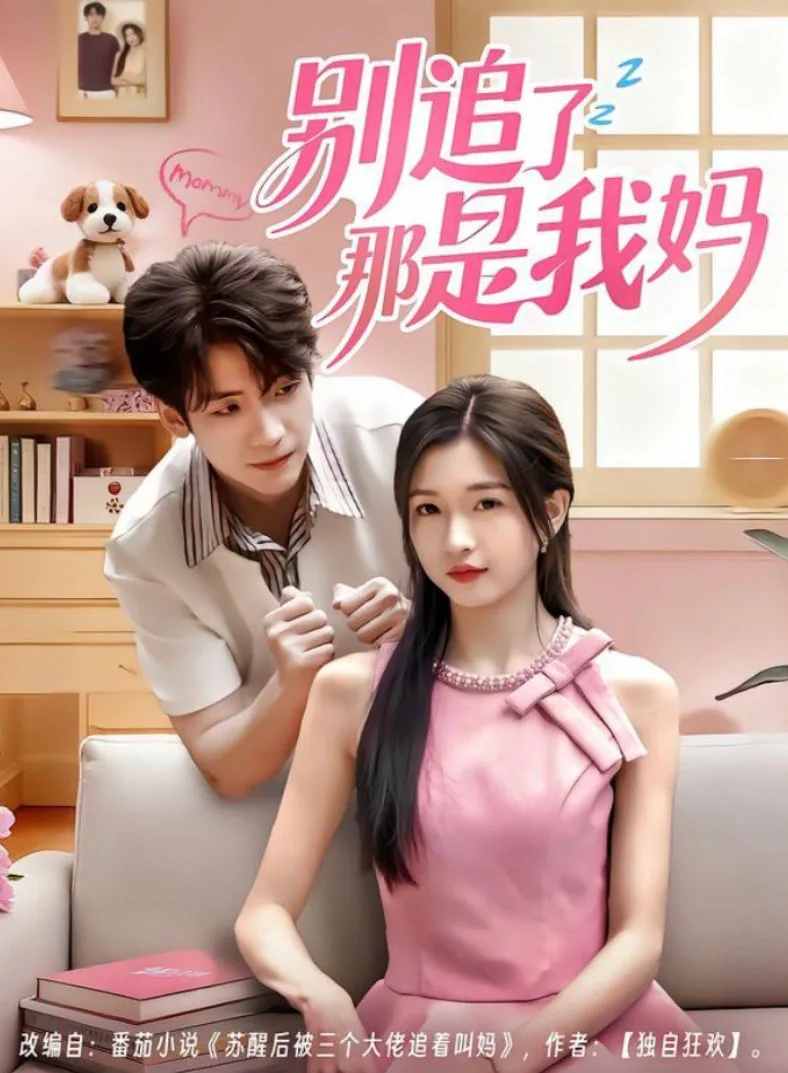 别追了那是我妈海报