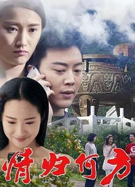情归何方海报