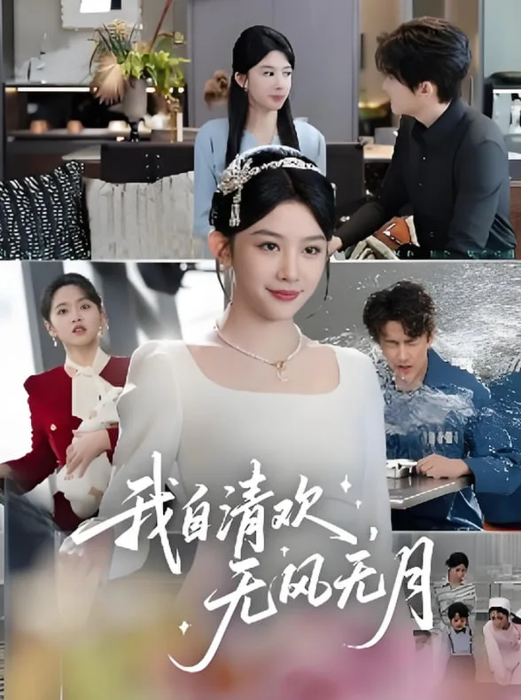 我自清欢无风无月海报