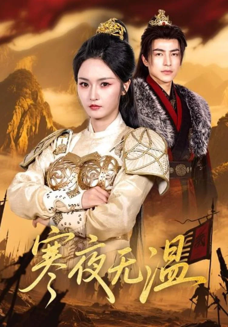 寒夜无温海报