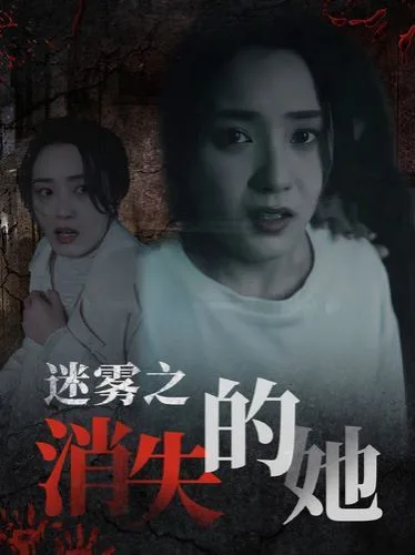 迷雾之消失的她海报