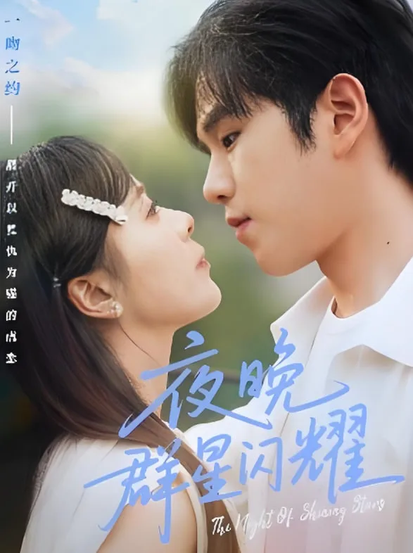夜晚群星闪耀海报