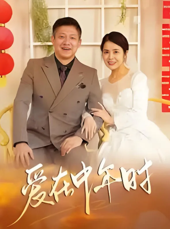 爱在中年时海报