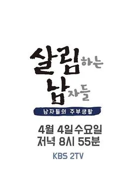 做家务的男人们 第二季海报