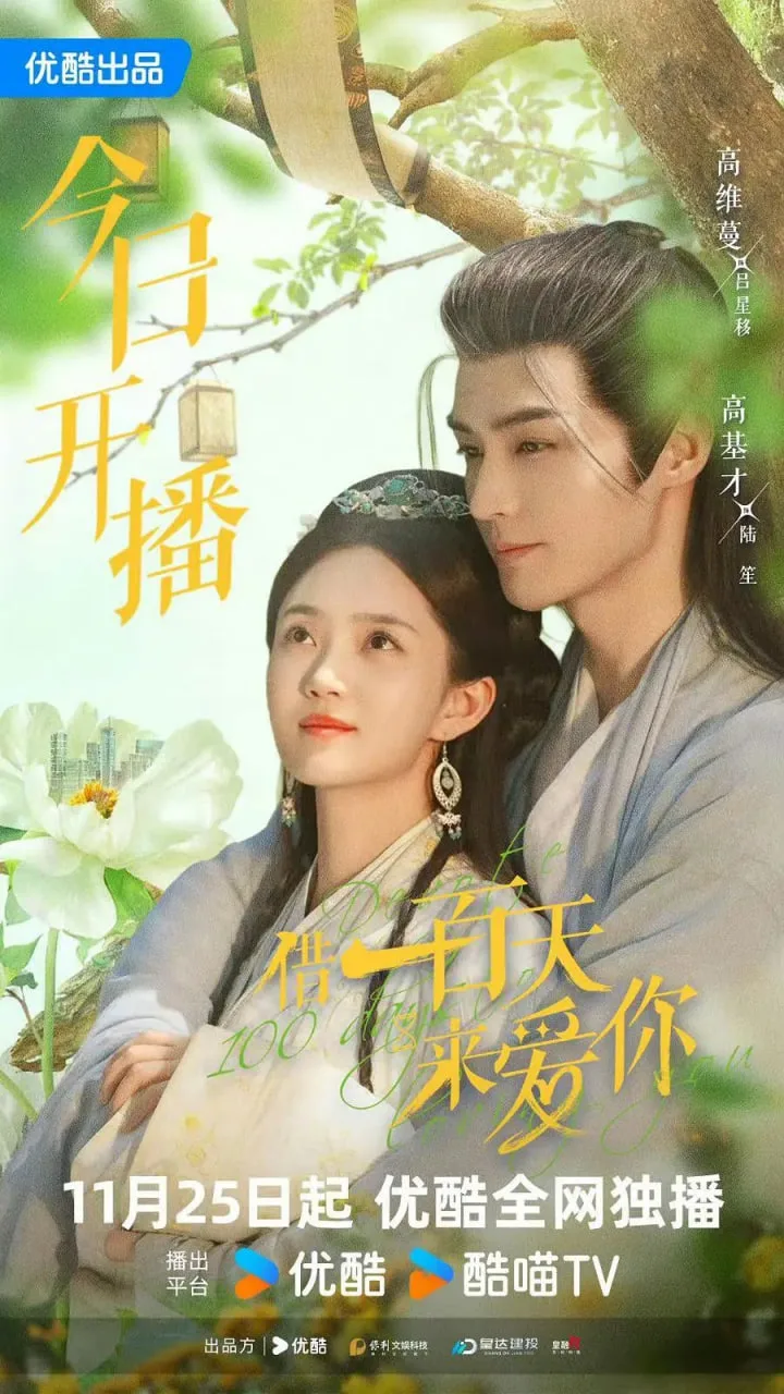 借一百天来爱你海报