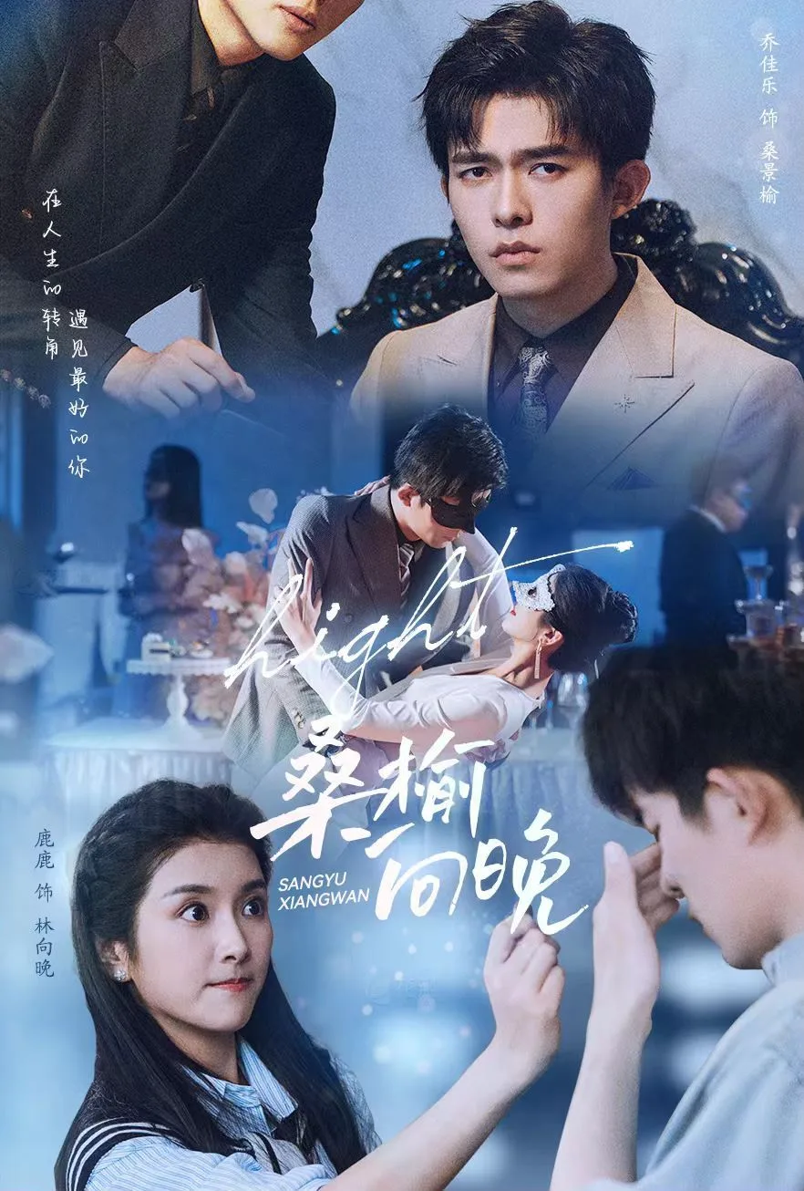 桑榆向晚海报