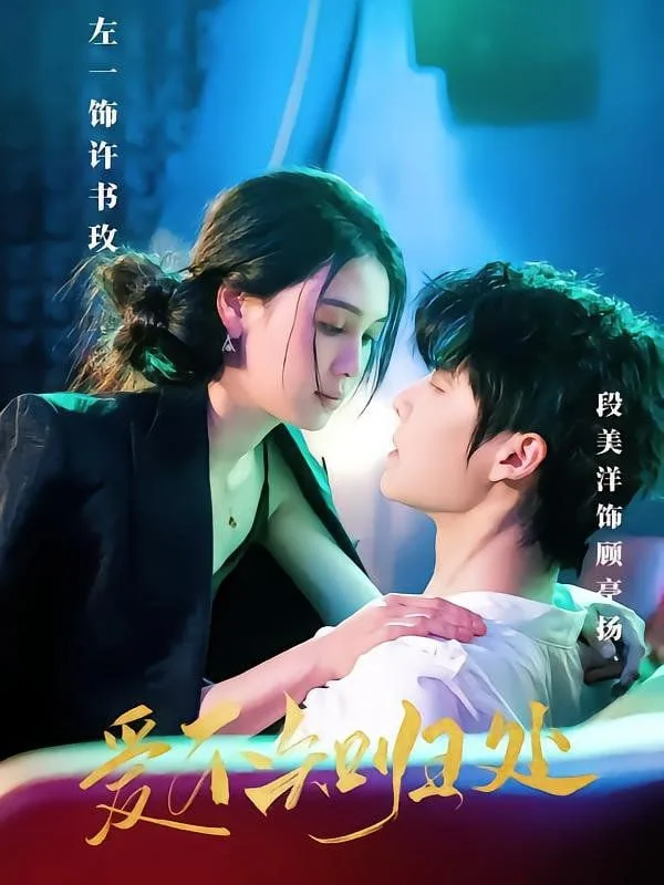 爱不知归处海报