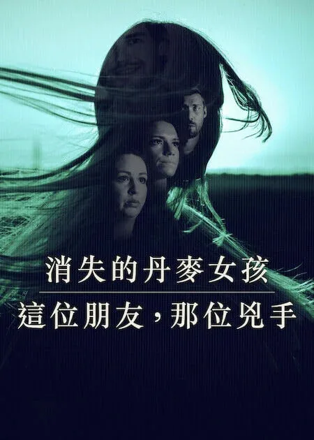 消失的丹麦女孩：这位朋友海报