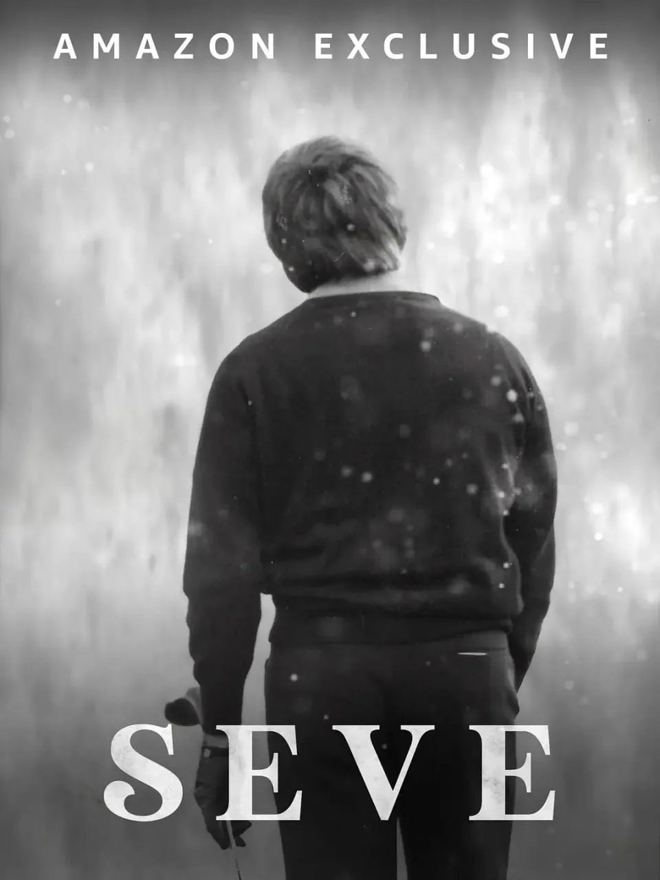 塞弗 2021海报