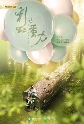 彩虹的重力海报