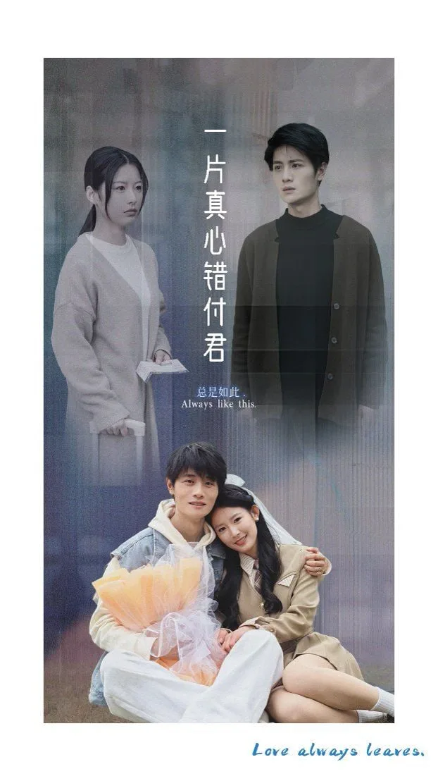 一片真心错付君海报