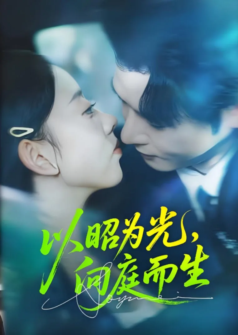 以昭为光向庭而生海报