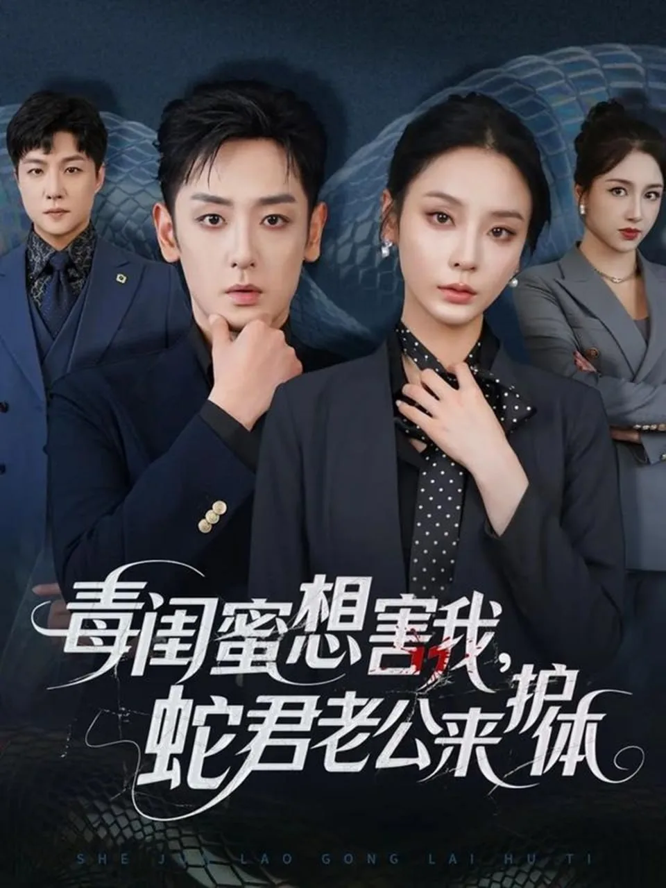 毒闺蜜想害我蛇君老公来护体海报