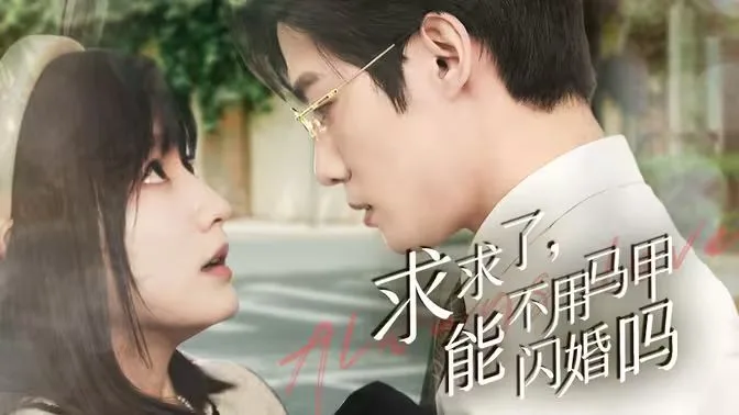 求求了，能不用马甲闪婚吗（闪婚夫妇，为何那样）海报