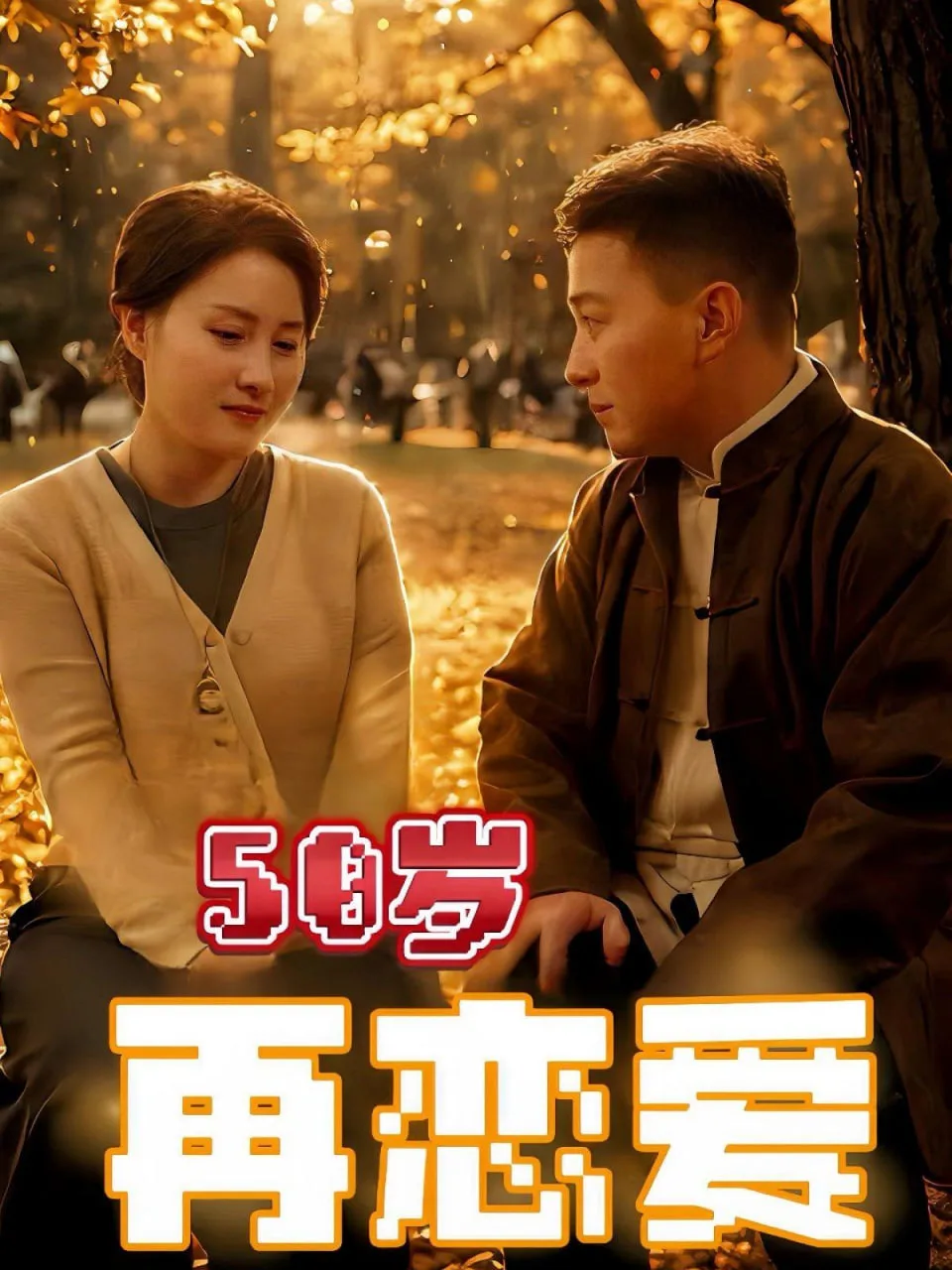 50岁再恋爱海报